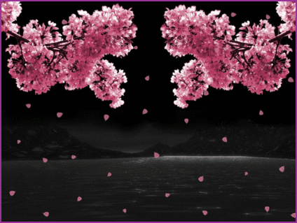 falling cherry blossoms gif