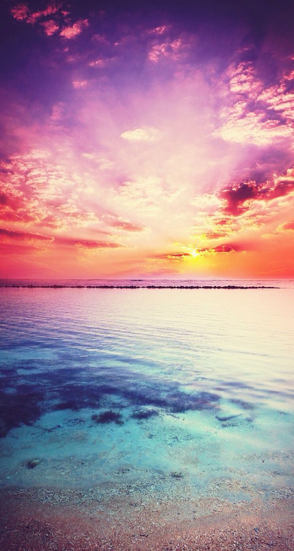 blue sky, turquoise ocean water, cute backgrounds, white flowers floating Nature