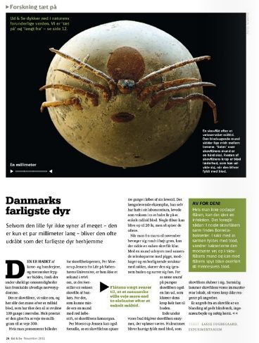 Skovflåtmodellen er mit registrerede varemærke ®. Skovflåtmodellen er en kommunikationsmodel, der kan bruges strategisk af afsendere, som har et brand/image/omdømme at varetage. Skovflåtmodellen var mit kernen i afgangsprojektet på min diplomuddannelse (karakter 12). Jeg fik idéen til navnet da jeg så denne artikel "Forskning tæt på" i DSB 's magasin Ud & Se om Danmarks farligste dyr! Skovflåtmodellen® udkommer på bog primo 2013. http://www.dsb.dk/om-dsb/dsb-i-medierne/ud-og-se/ Public Speaking, Serving Bowls, Bruges, Tableware, Store, Dinnerware, Tablewares, Dishes, Place Settings