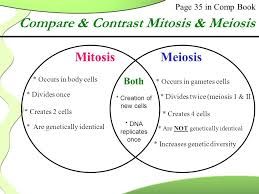 image result for images of mitosis and meiosis math pinterest math compare and contrast mitosis and meiosis venn diagram