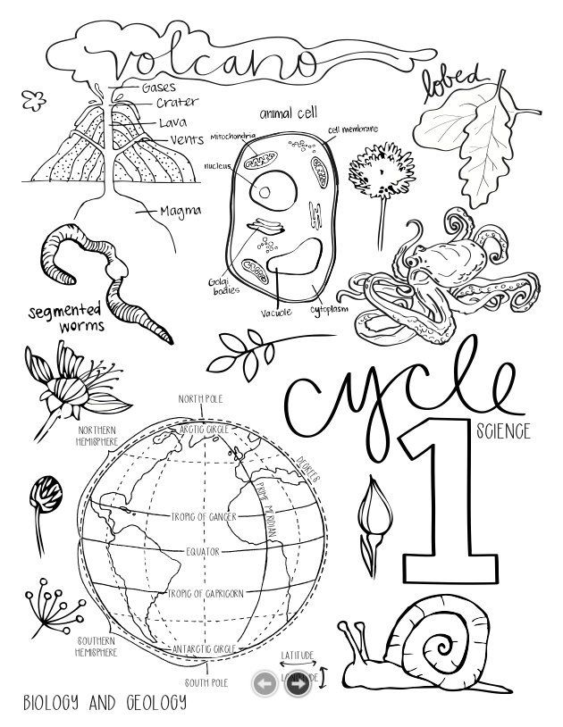 Download Cycle 1 SCIENCE coloring pages (5th edition) | Coloring ...