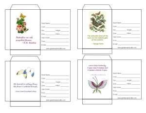 lots of free printable seed packet templates that allow you information packet template