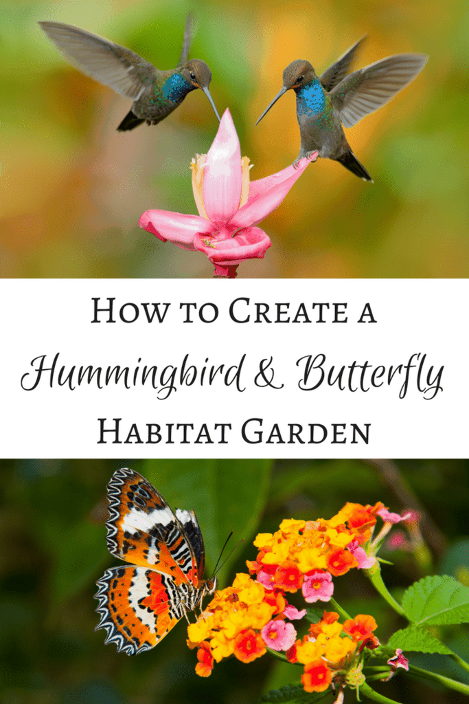 Create a hummingbird and butterfly habitat garden that will have these winged creatures flying around your yard all summer long! | hummingbird flowers | hummingbird garden | butterfly flowers | butterfly garden Garden Wallpaper, Flowers Wallpaper, Backyard Birds, Backyard Garden, Garden Plants, Diy Garden, Terrace Garden, Budget Garden, Garden Pond