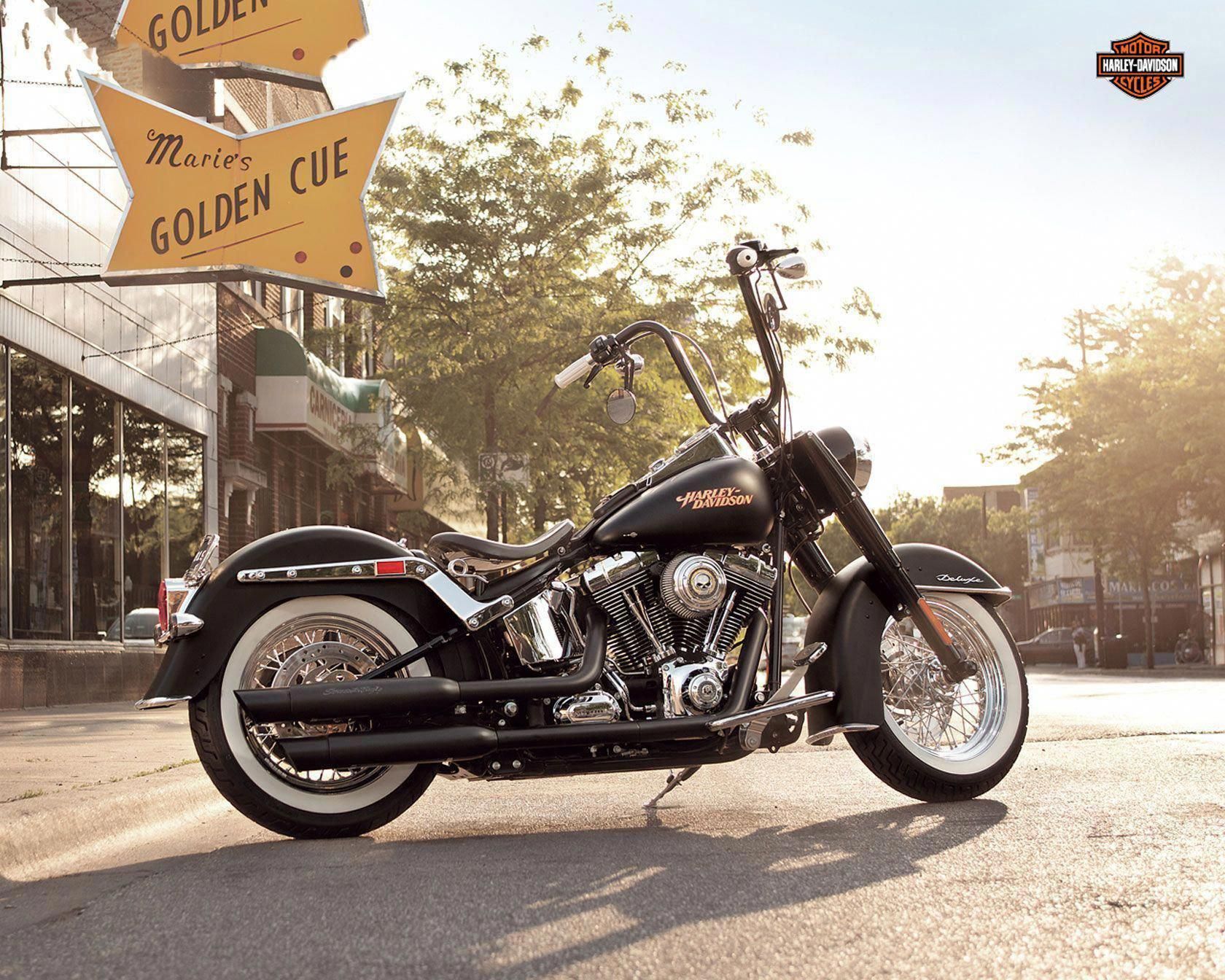 Kawasaki Vn1500 Custom Cruiser Chopper Bobber Big Vtwin Low Miles