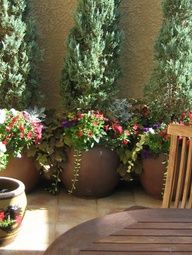 Large Potted Plants For Patio Tuscan Garden Large Potted Plants For Patio Tuscan Garden