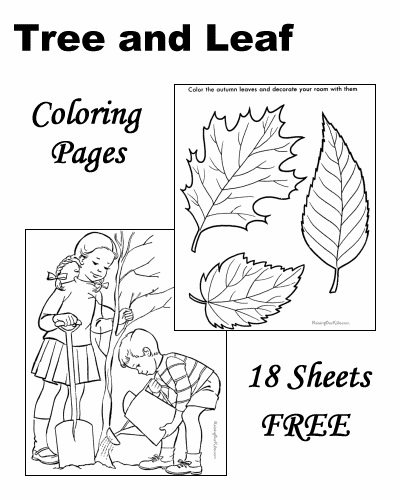 Download Tree Leaf Coloring Pages! | Leaf coloring page, Preschool coloring pages, Coloring pages