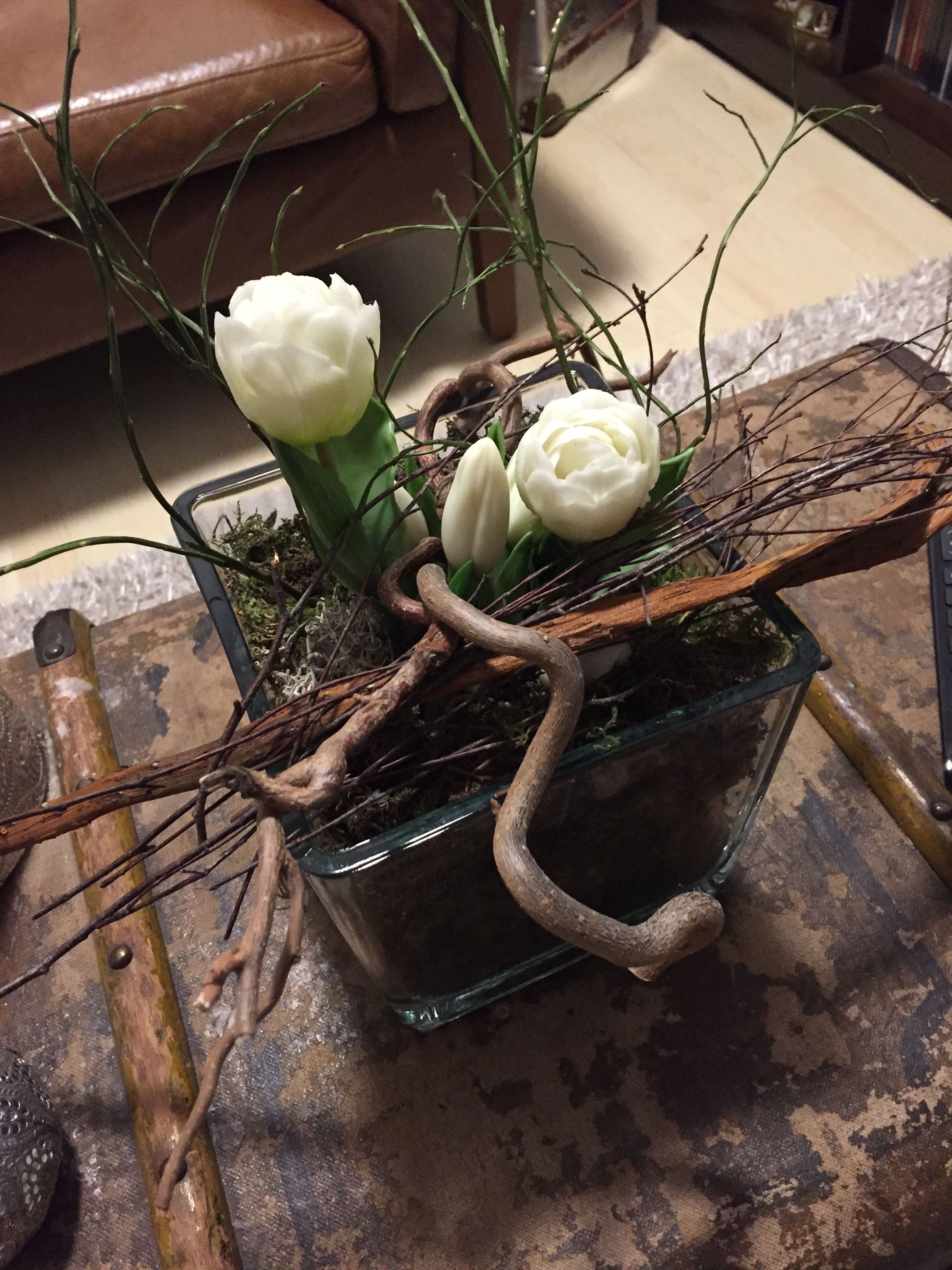 Blumen kennenlernen