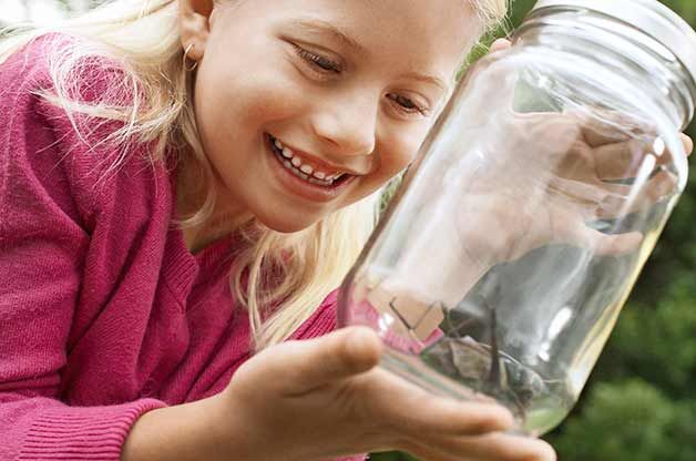 Recycled Garden Ideas: Going on a firefly or bug hunt? Keep critters in a mason jar with a piece of pantyhose held with a rubber band on the top so the insects can breathe. Diy Garden Projects, Garden Ideas, Bug Hunt, Recycled Garden, Maurer, Hardy Plants, Rubber Bands, Bloom, Firefly