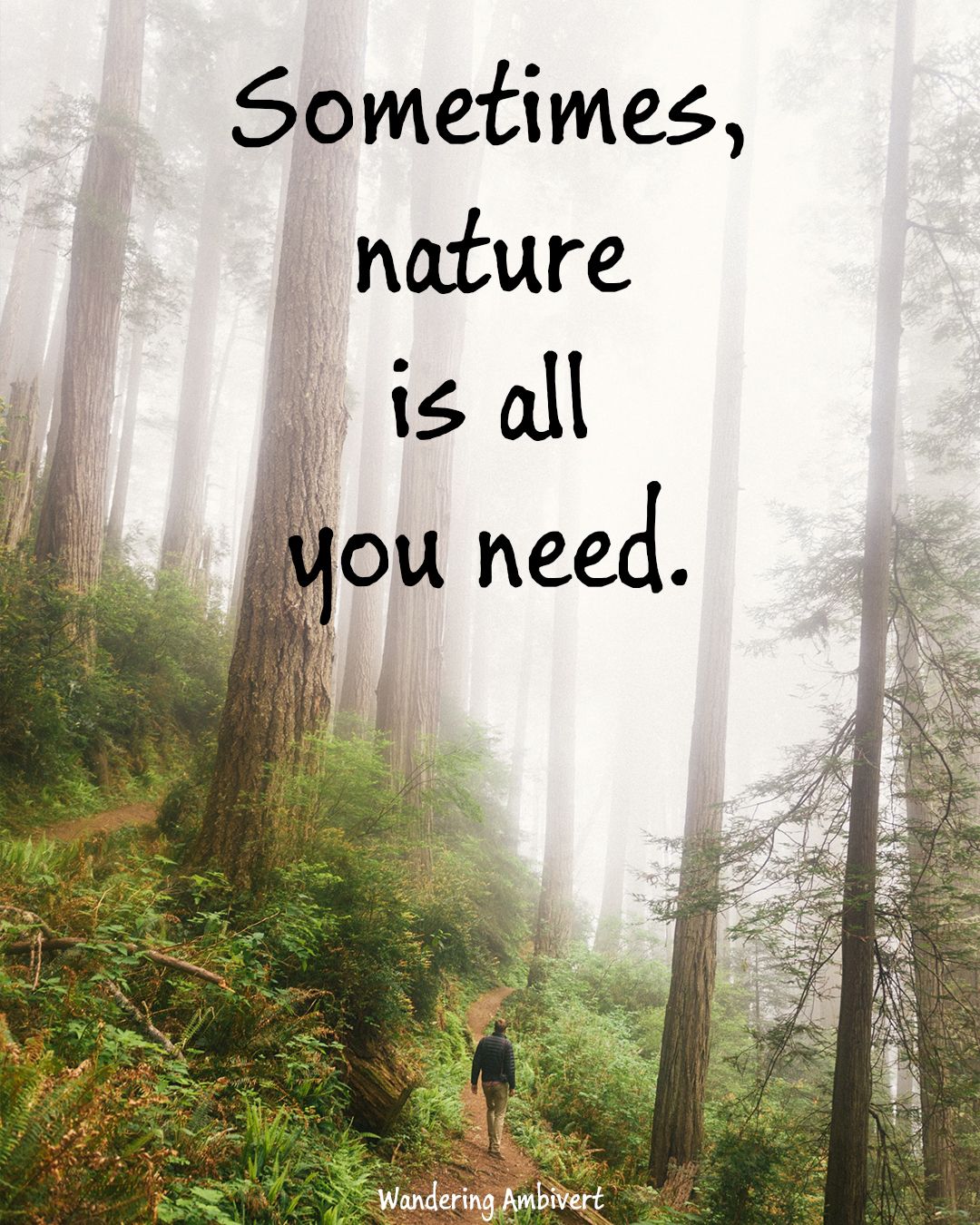 Nature Is All You Need Explore Quotes Nature Travel Quotes Adventure