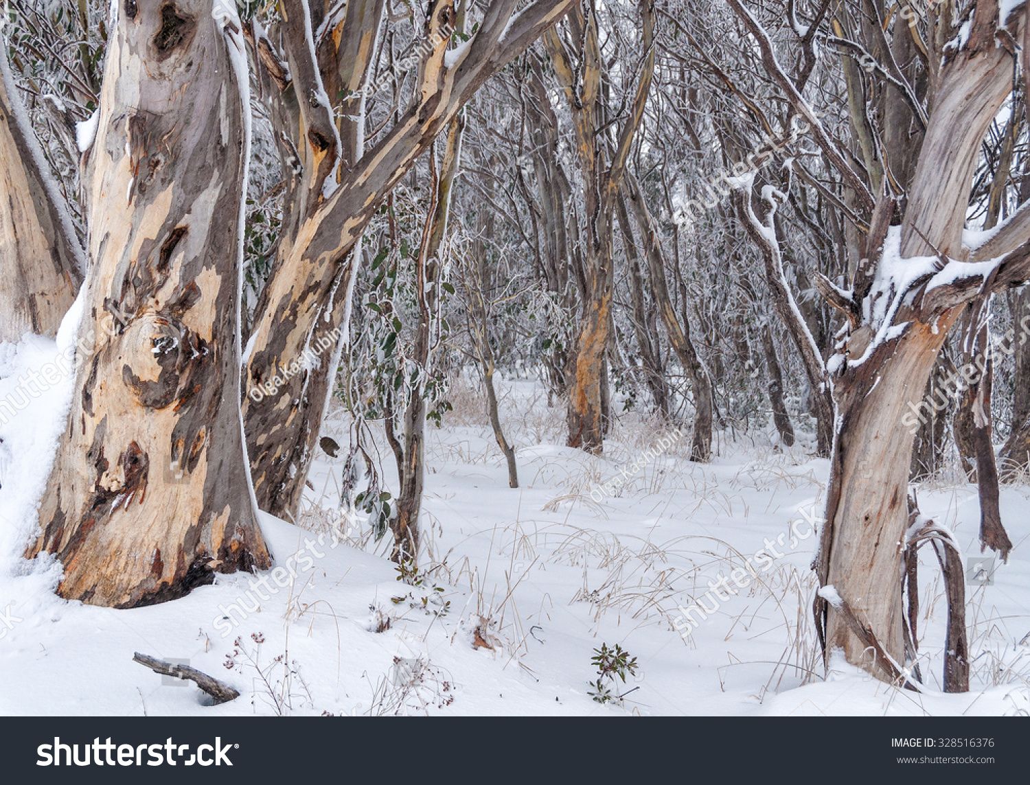 Snow and frost in Australia Snow and frost in Australia