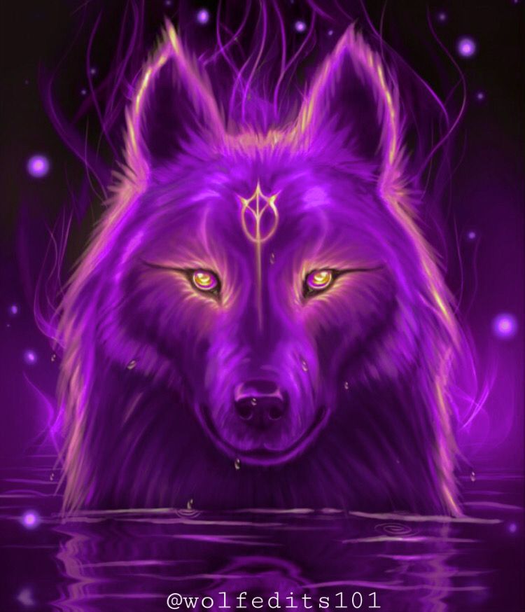 #freetoedit #purple #wolf #galaxywolf #purplegalaxy #magical #wolfs # ...