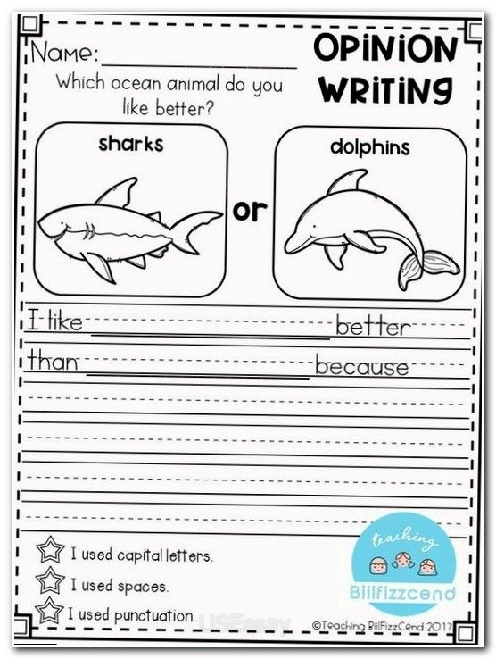 Admission essay writing 2nd grade
