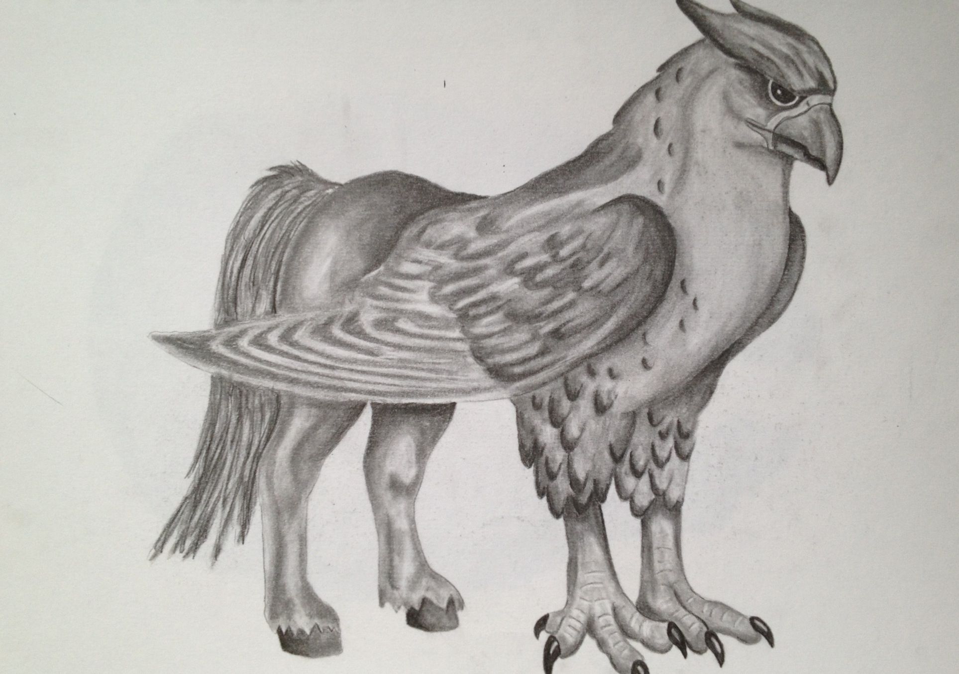 Griffin pencil drawing