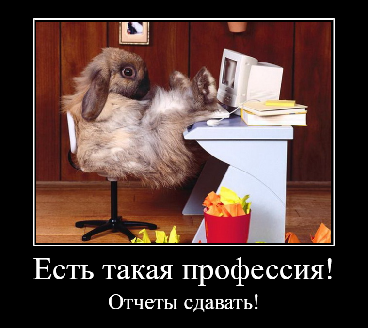 Смешные картинки про работу бухгалтера