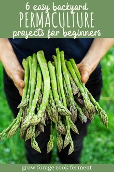 These six easy backyard permaculture projects for beginners will get you on your way to a mini permaculture paradise! #permaculture #gardening #spring #growforagecookferment Permaculture Design, Plan Potager Permaculture, Permaculture Principles, Easy Backyard, Backyard Garden, Raised Garden, Garden Beds, Pnw Garden, Harvest Garden