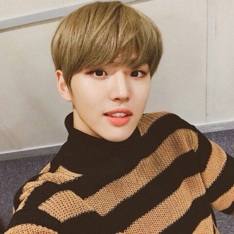 pentagon yang hongseok fandom pantone kim pentagon yang hongseok fandom pantone kim