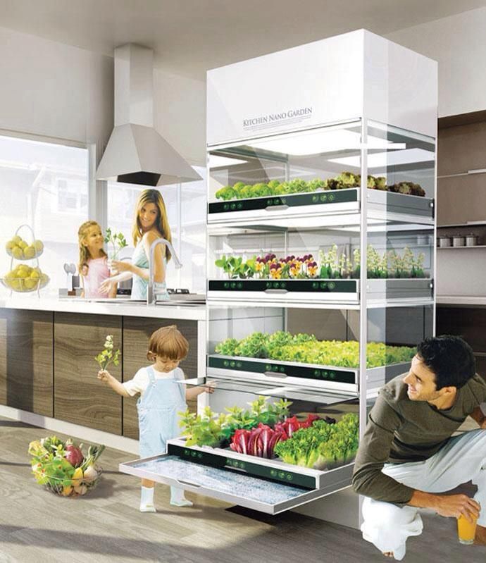 serre intérieur cuisine | Cultiver des pommes de terre en 2018 ... serre intérieur cuisine | Cultiver des pommes de terre en 2018 ...