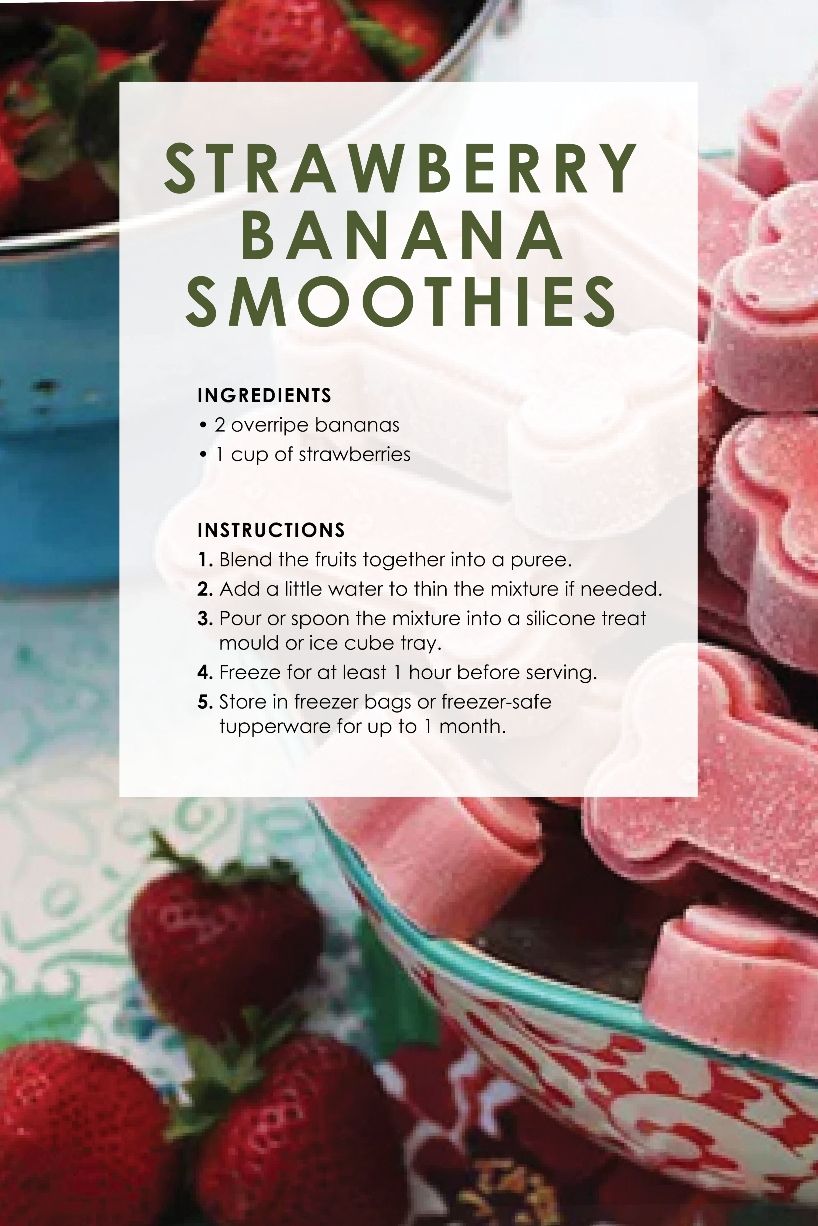 Top 10 Two-Ingredient Frozen Dog Treats Easy Dog Treat Recipes, Healthy Dog Treats Homemade, Easy Dog Treats, Dog Treats Homemade Recipes, Healthy Dog Food Recipes, Dog Recipes, Doggie Treats, Basic Smoothie Recipe, Banana Treats