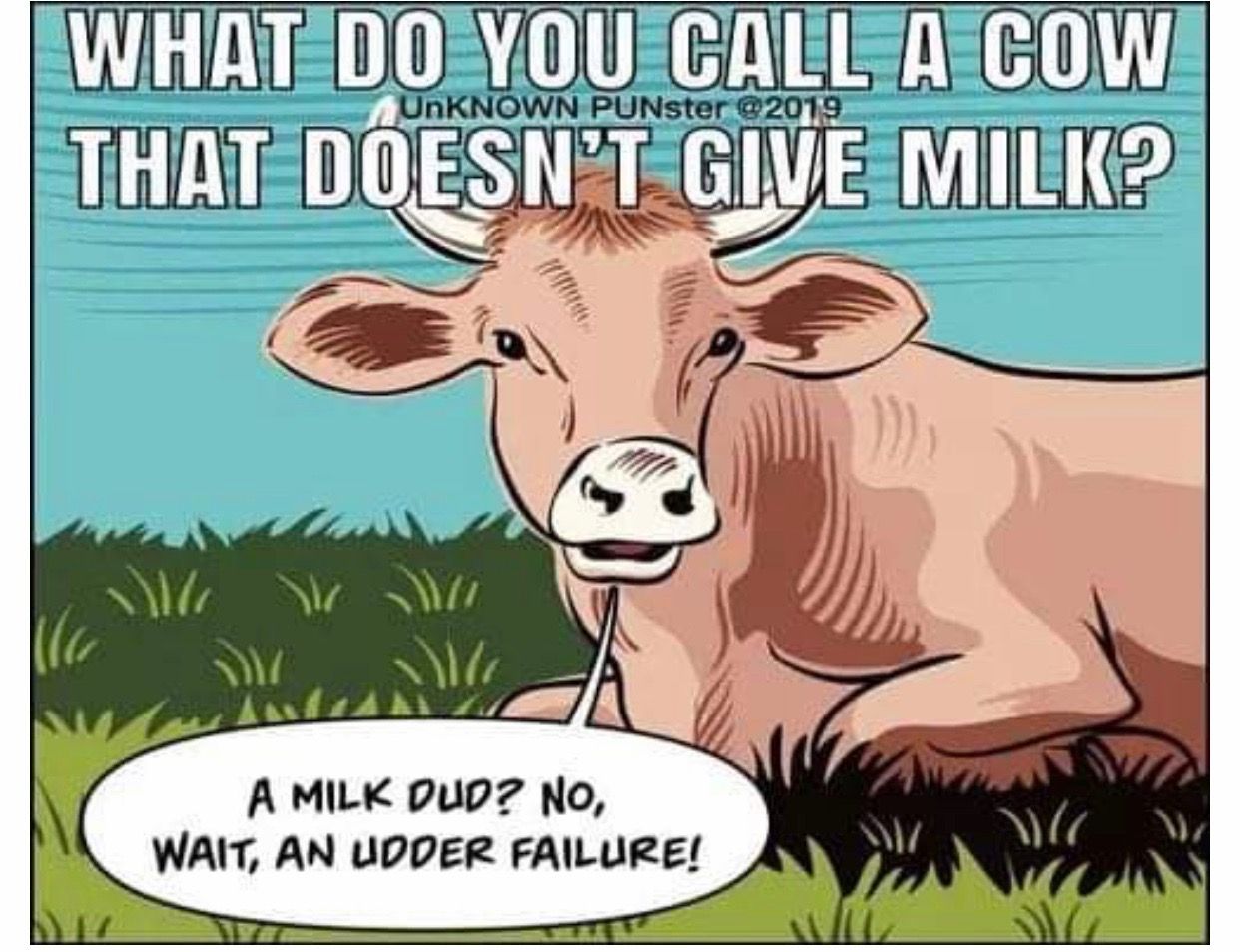 What Do You Call A Masturbating Cow What Do You Call A Masturbating Cow