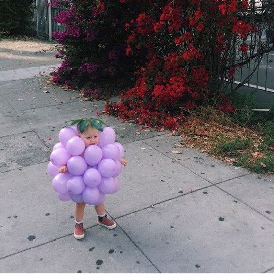 The cutest bunch of grapes you have ever seen. The cutest bunch of grapes you have ever seen.