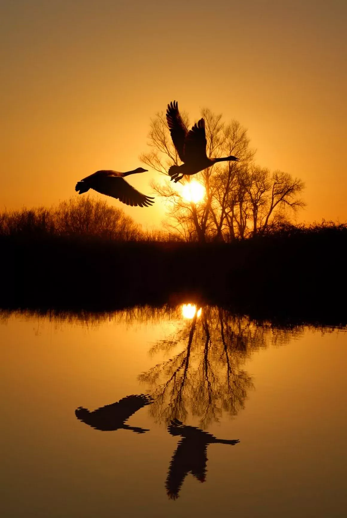 Drawing attention Beautiful Images Nature Sunlight Drawing attention Beautiful Images Nature Sunlight