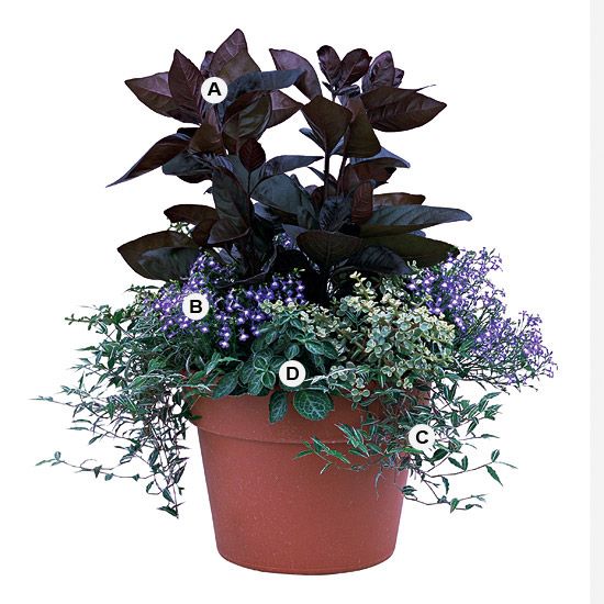 36 Container Garden Recipes for a Stunning Display #shadecontainergardenideas