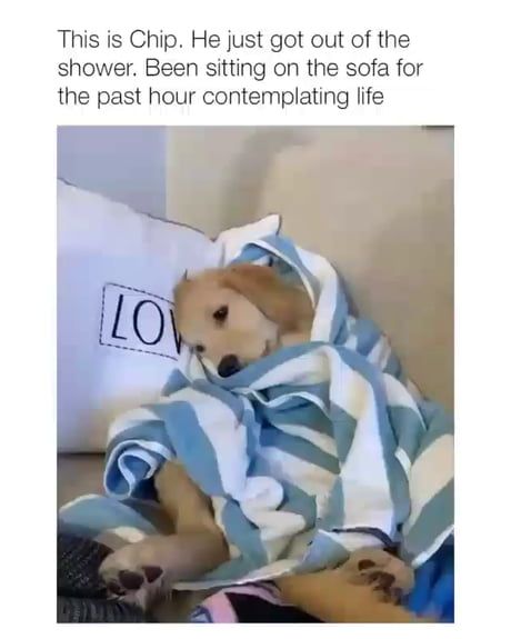 Who feels like this sometimes? Who feels like this sometimes?