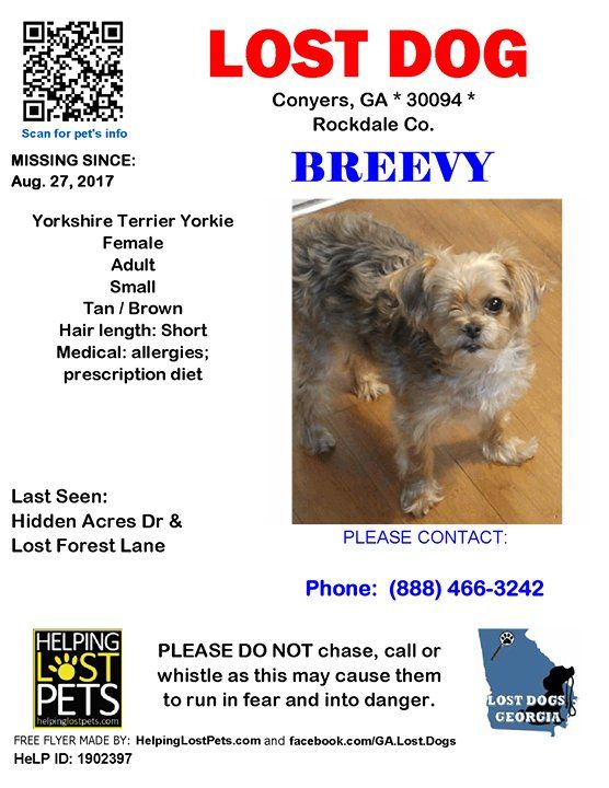 Pin By Lost Dogs Georgia On Dogs Lost In Georgia Losing A Dog