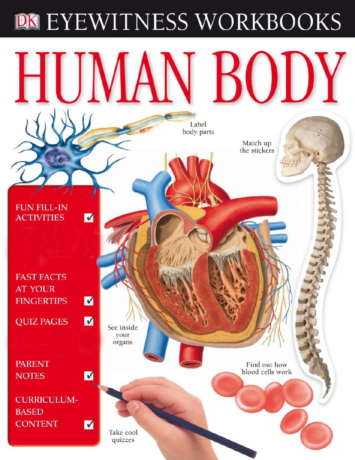 DK__Human_Body__2007_ Human body, The body book, Workbook