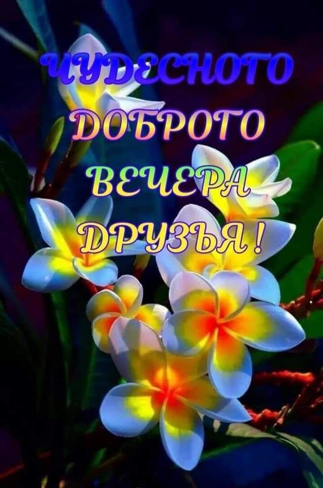 Фото Добрый Вечер Прикольные Фото Добрый Вечер Прикольные