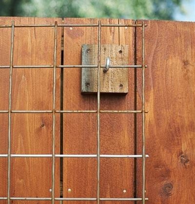 Build a Fence Trellis