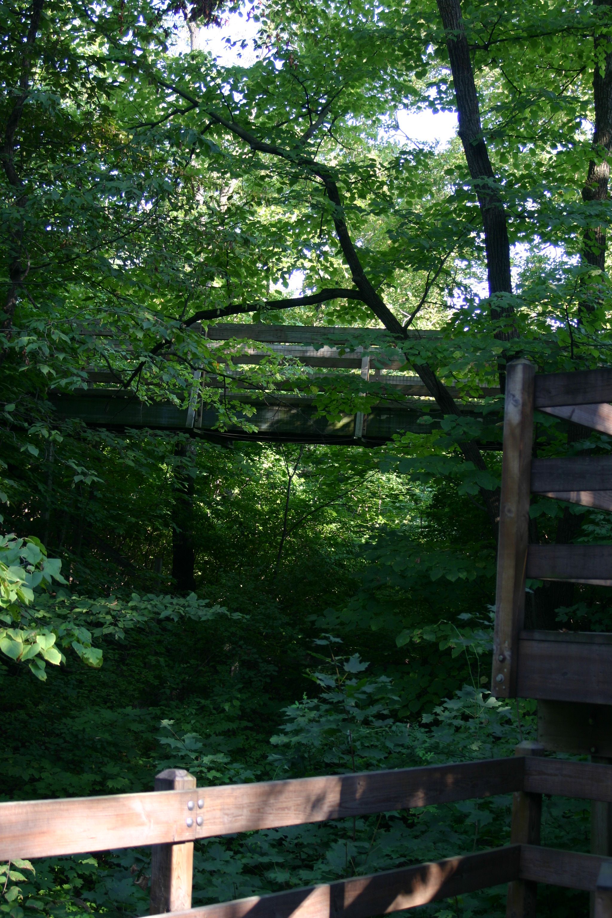 Come explore Grizzly Jack's Grand Bear Resort in historic Utica