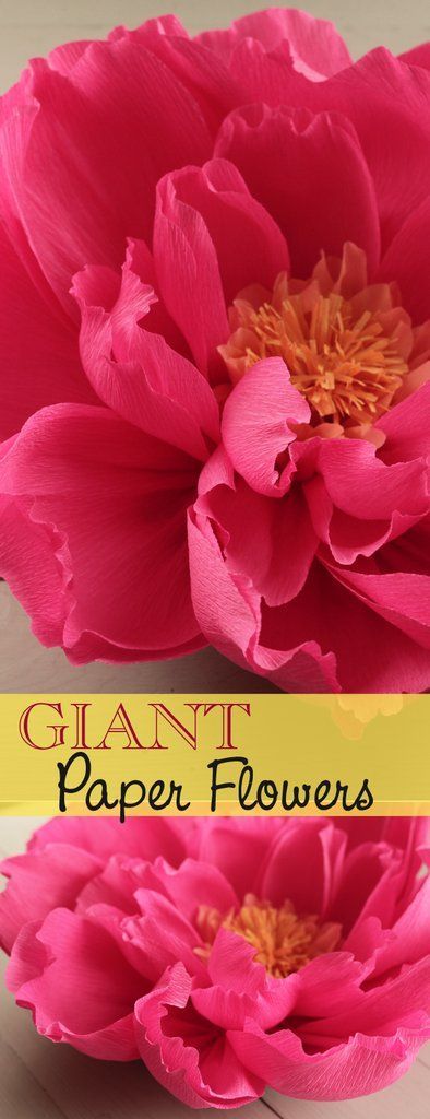 Giant Paper Flower for a DIY Wedding Backdrop - Craft Tutorial #giantpaperflowers