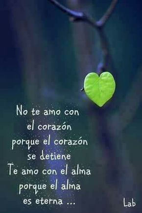 Frases de amor e Ideas románticas para dedicar