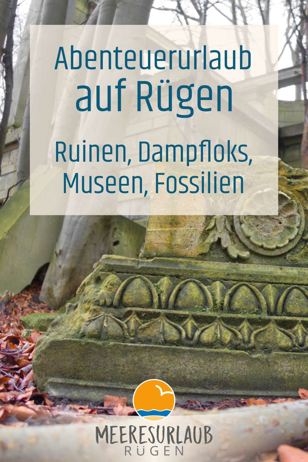 Rügen urlaub single mit kind