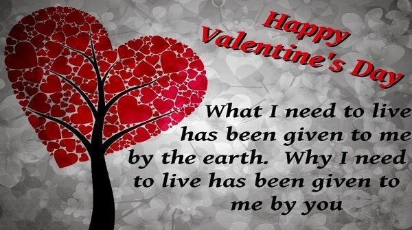 Valentine Pictures 60 Valentines Day Images Free Download Beauteous Download Valentine Quotes And Images Valentine Pictures 60 Valentines Day Images Free Download Beauteous Download Valentine Quotes And Images
