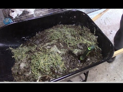 Rabbit Manure In The Garden Finegardening Rabbit Manure In The Garden Finegardening