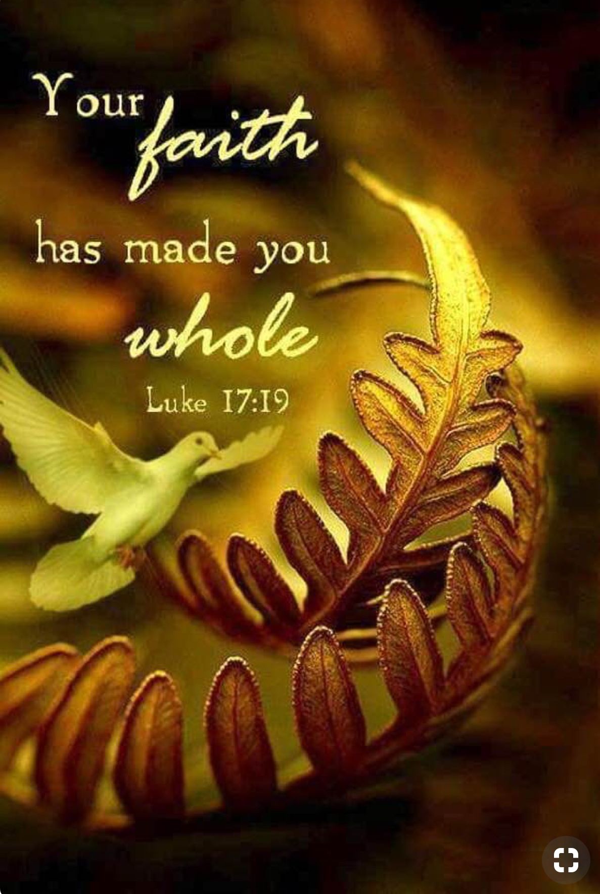 Pin On Bible Quotes pin-on-bible-quotes
