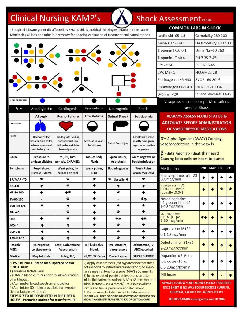 Nursing case study hypovolemic shock