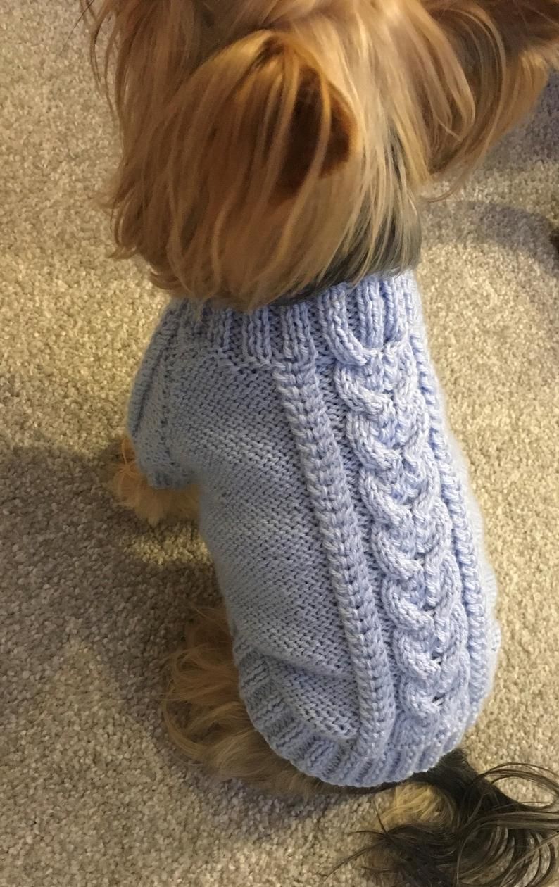 Knitting Pattern Dog sweater with raglan sleeves | Etsy Dog Jumper Knitting Pattern, Knitting Patterns Free Dog, Knit Dog Sweater, Dog Pattern, Hand Knitting, Crochet Sweater, Double Knitting, Knitting Yarn, Small Dog Sweaters