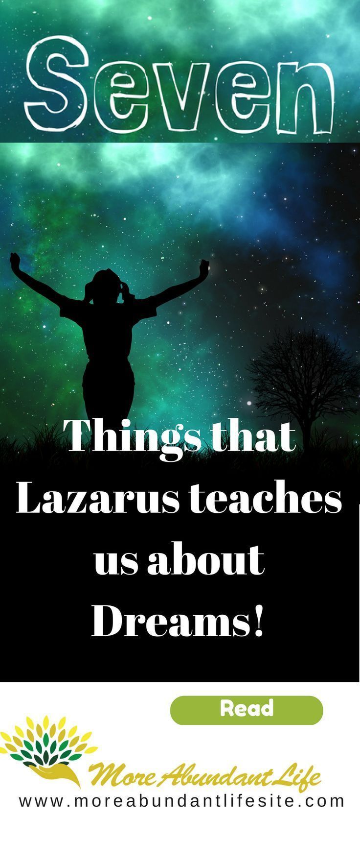 7 Things that Lazarus Teaches Us about Dreams The More Abundant Life