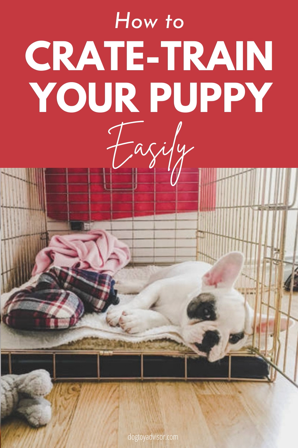 Crate Training Your Dog While Working a Full-Time Crate Training Your Dog While Working a Full-Time