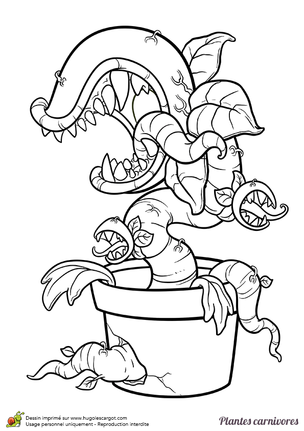 Page 2 Sur 12 Sur Hugolescargot Com Dessin Graffiti Dessins De Zombies Dessin De Visages Page 2 Sur 12 Sur Hugolescargot Com Dessin Graffiti Dessins De Zombies Dessin De Visages