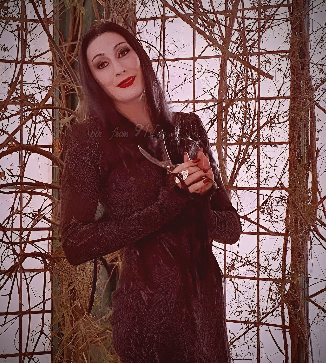 Pin by Aliisa Sipolla on Tattoo ideas Anjelica huston, Morticia addams(04)