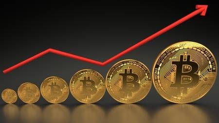 Invest in rise crypto