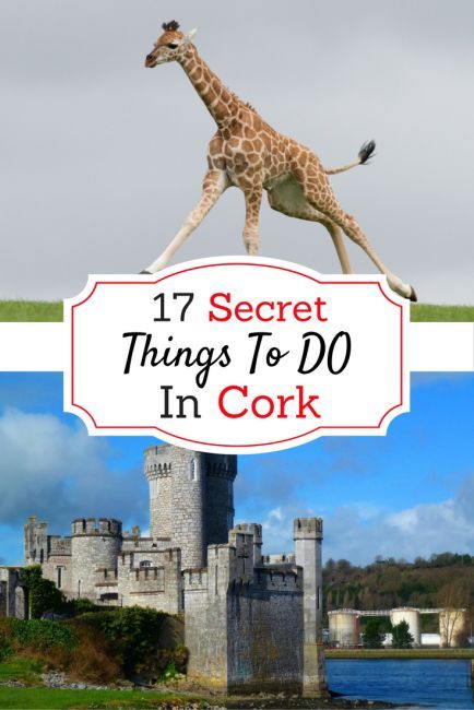 21 Secret Things To Do In Cork: UPDATED November 2018