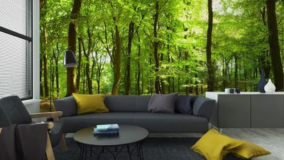 Wall Mural Waldweg im Sommer