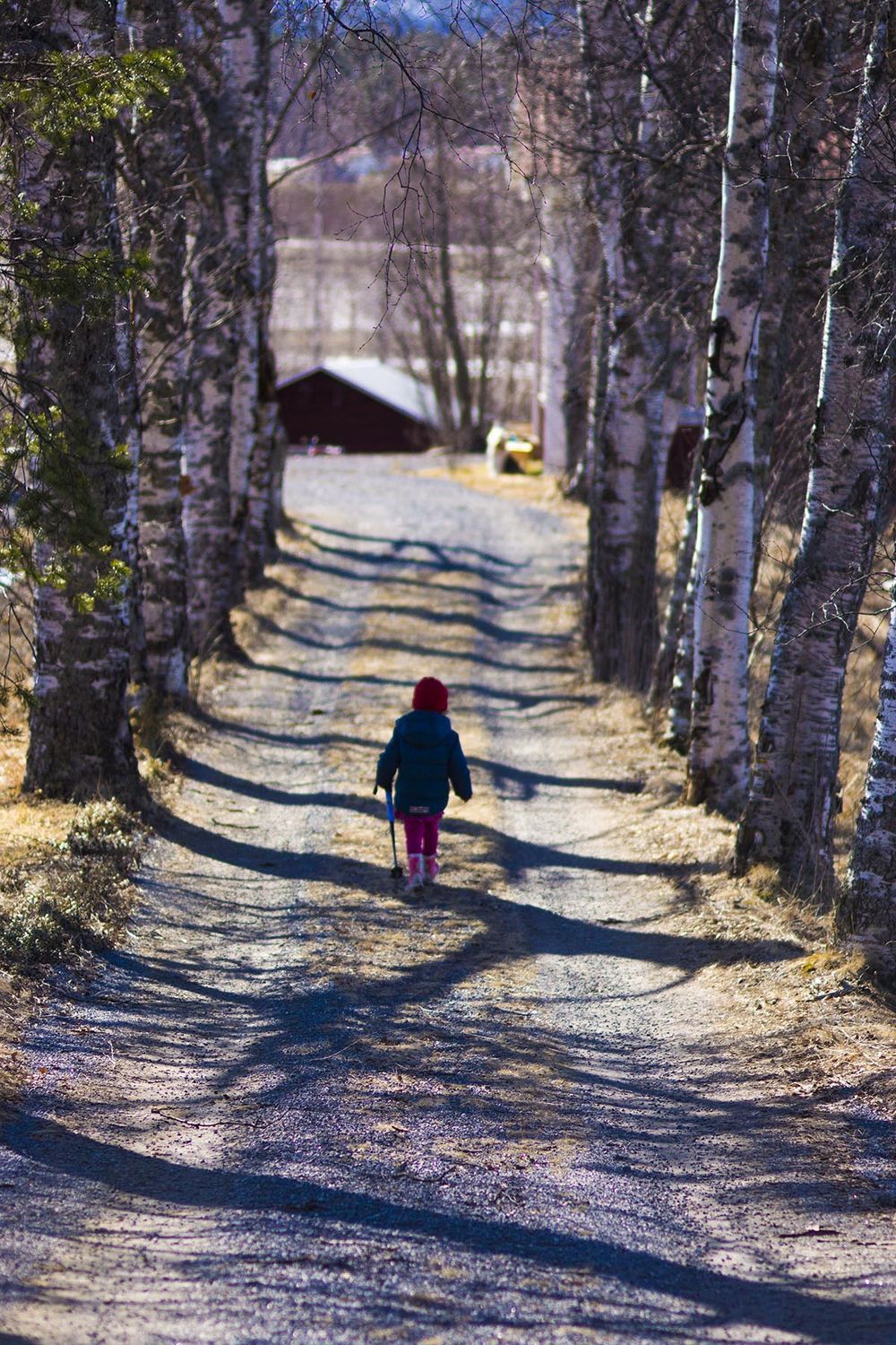 hitta sex i norrbotten