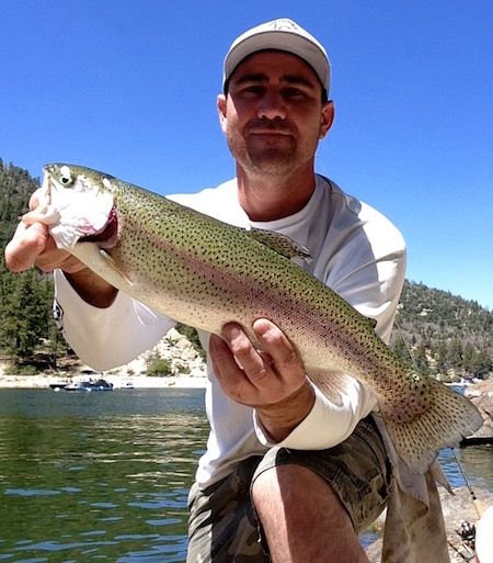 best rainbow trout castmaster best rainbow trout castmaster