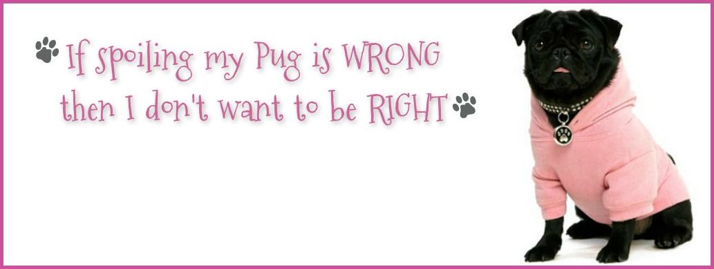 Pug Facebook Cover Photos For Your Timeline Pug Quotes Pug
